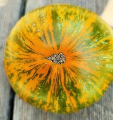 Sandras smaids (Улыбка Сандры) – skaistu, daudzkrāsainu un saldu tomātu sēklas